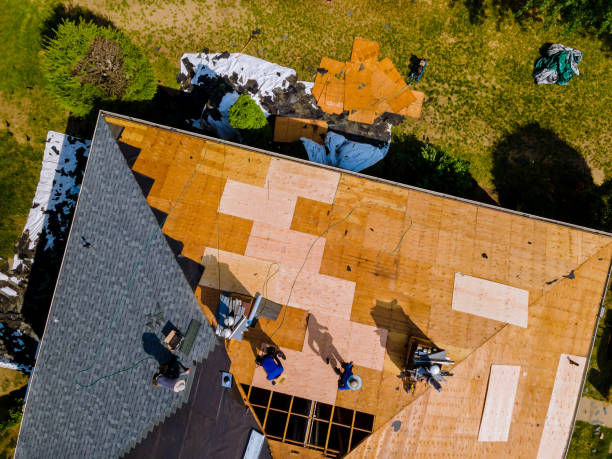 Best Commercial Roofing Services  in Paris, TN