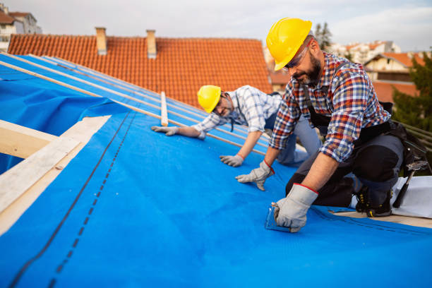 Professional Roofing Contractor in Paris, TN
