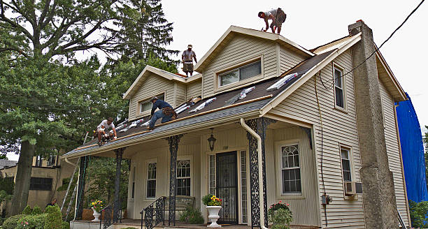 Best Residential Roofing Contractor  in Paris, TN